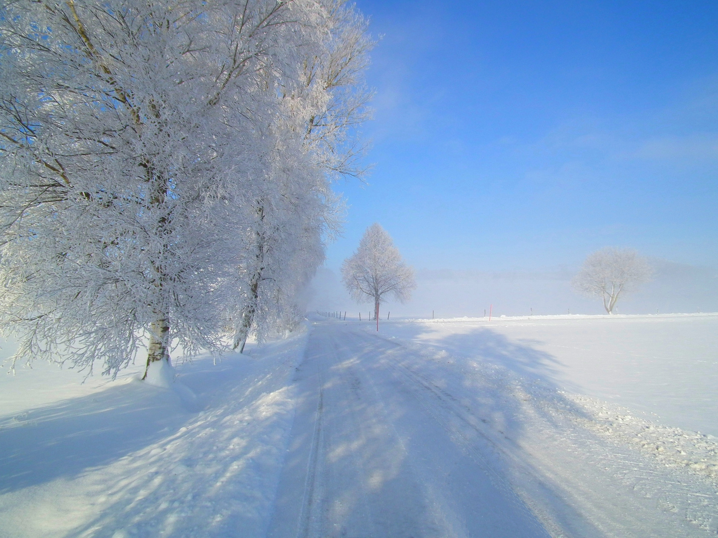 Winterimpression