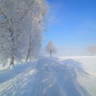 Winterimpression