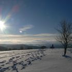 Winterimpression Eifel