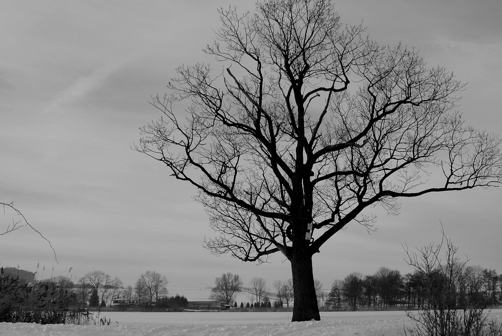 Winterimpression entlang von Fischteichen