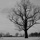 Winterimpression entlang von Fischteichen