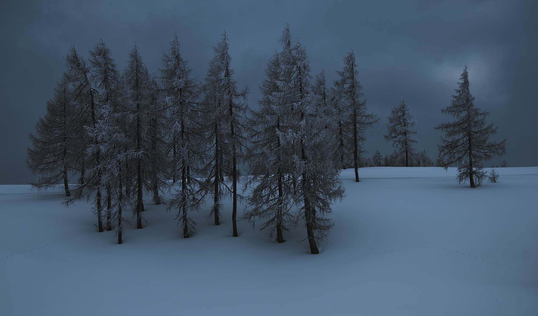 Winterimpression