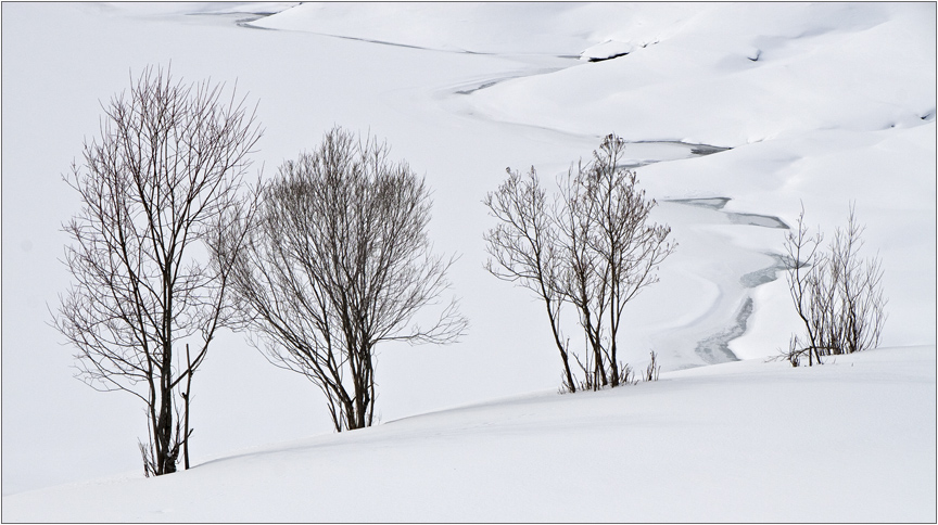 Winterimpression II