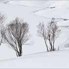 Winterimpression II