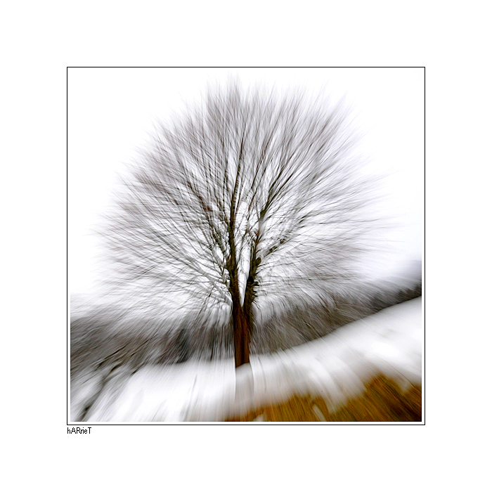 ... winterimpression II ...