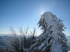 Winterimpression im Gebirge