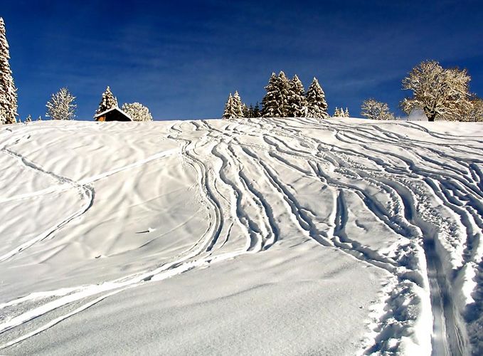 Winterimpression in Vorarlberg