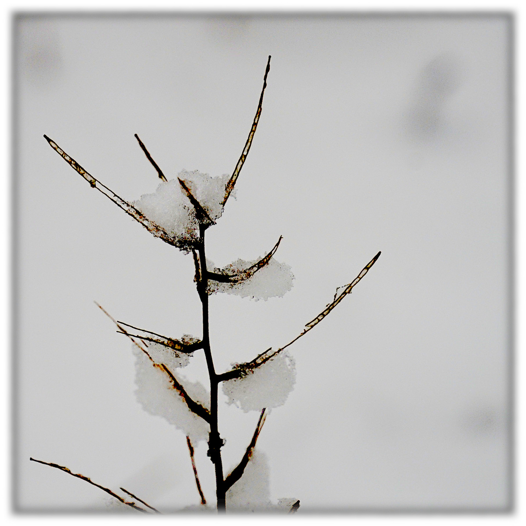 Winterimpression IV