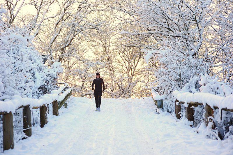 Winterimpression - Kein Hindernis