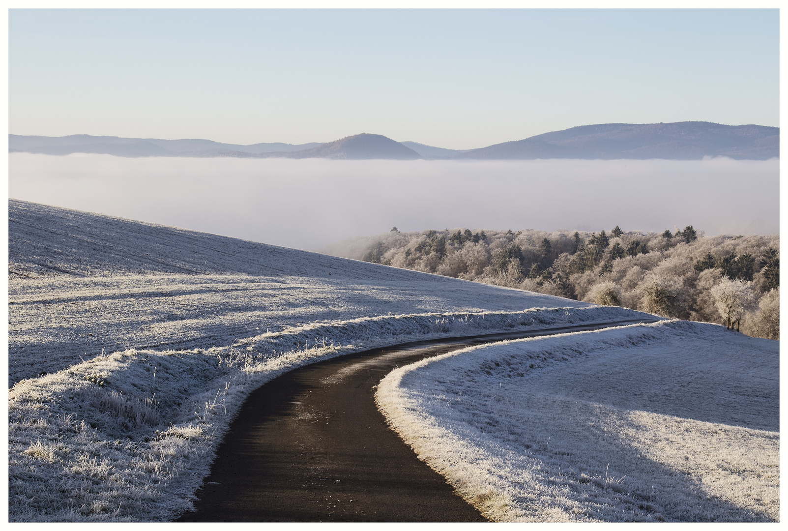 Winterimpression (mit Nebel)