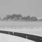 Winterimpression mit Spaziergänger