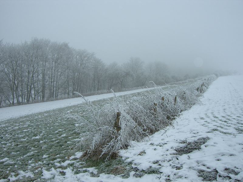 Winterimpression Möhnesee-Delecke 2006