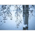 Winterimpression - Neulich am Tiggelsee