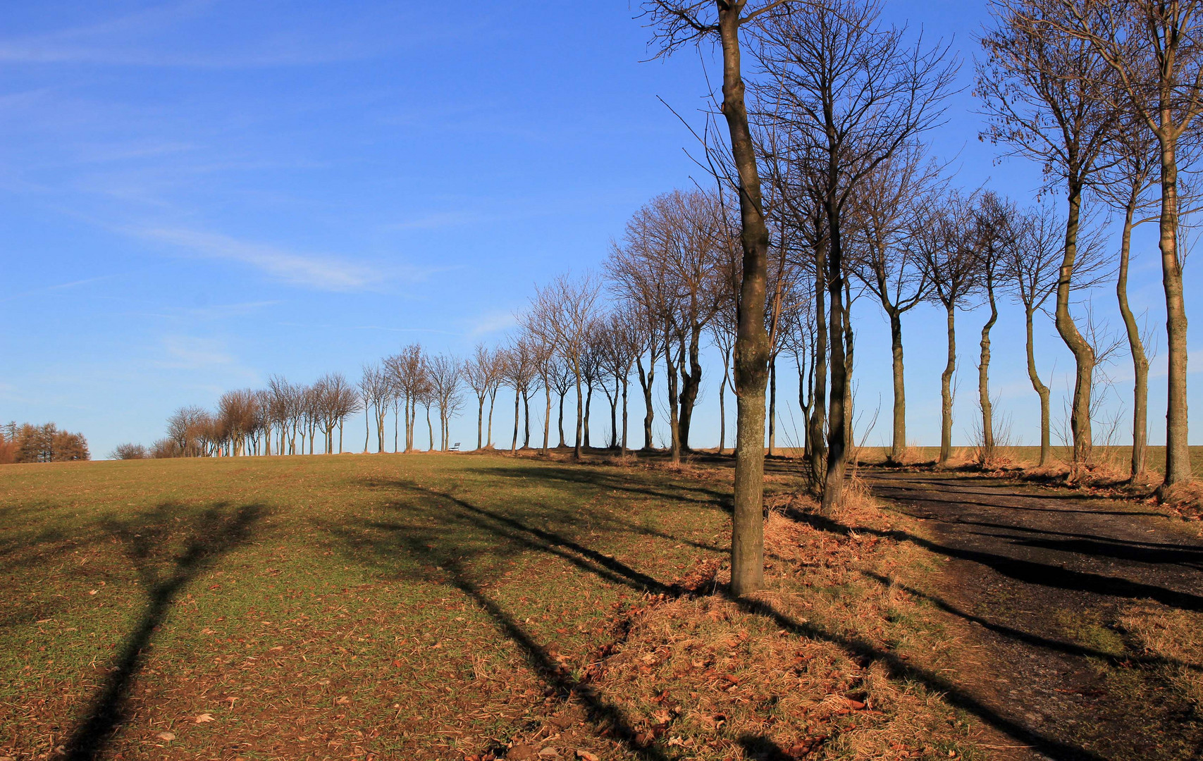 Winterimpression noch ohne Schnee