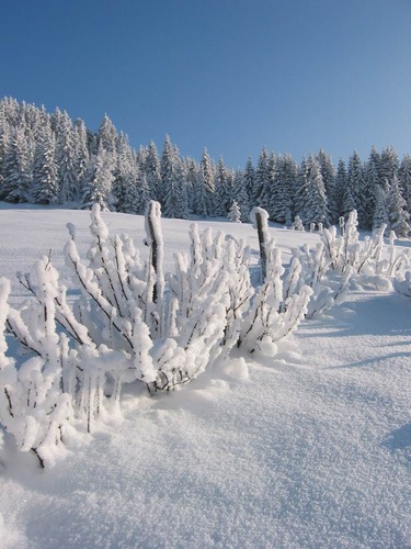 Winterimpression Oberstaufen