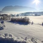 Winterimpression Richtung Grimming, Bad Mitterndorf