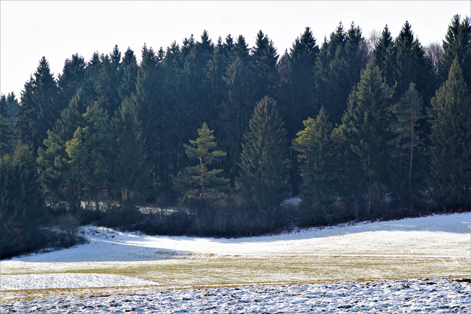 Winterimpression, schwäbische Alb