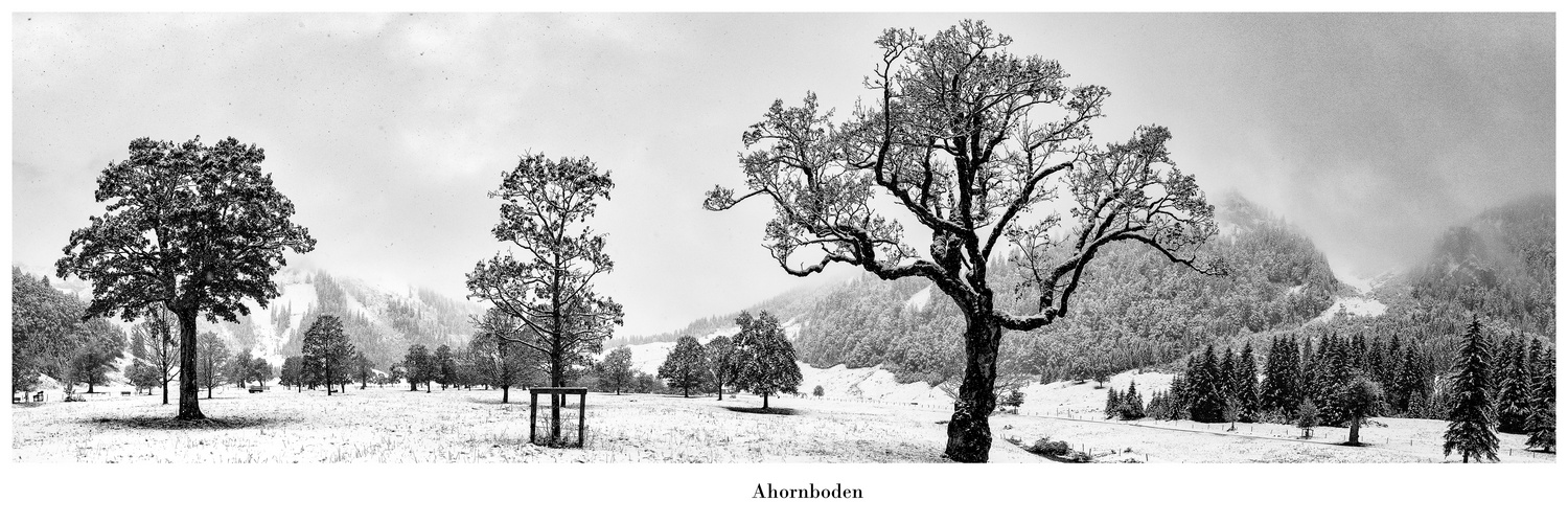 Winterimpression vom Ahornboden