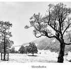 Winterimpression vom Ahornboden