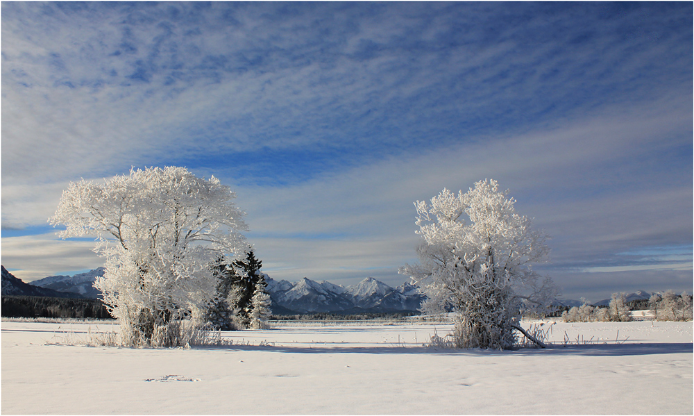 Winterimpression vom Forggensee