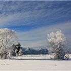 Winterimpression vom Forggensee