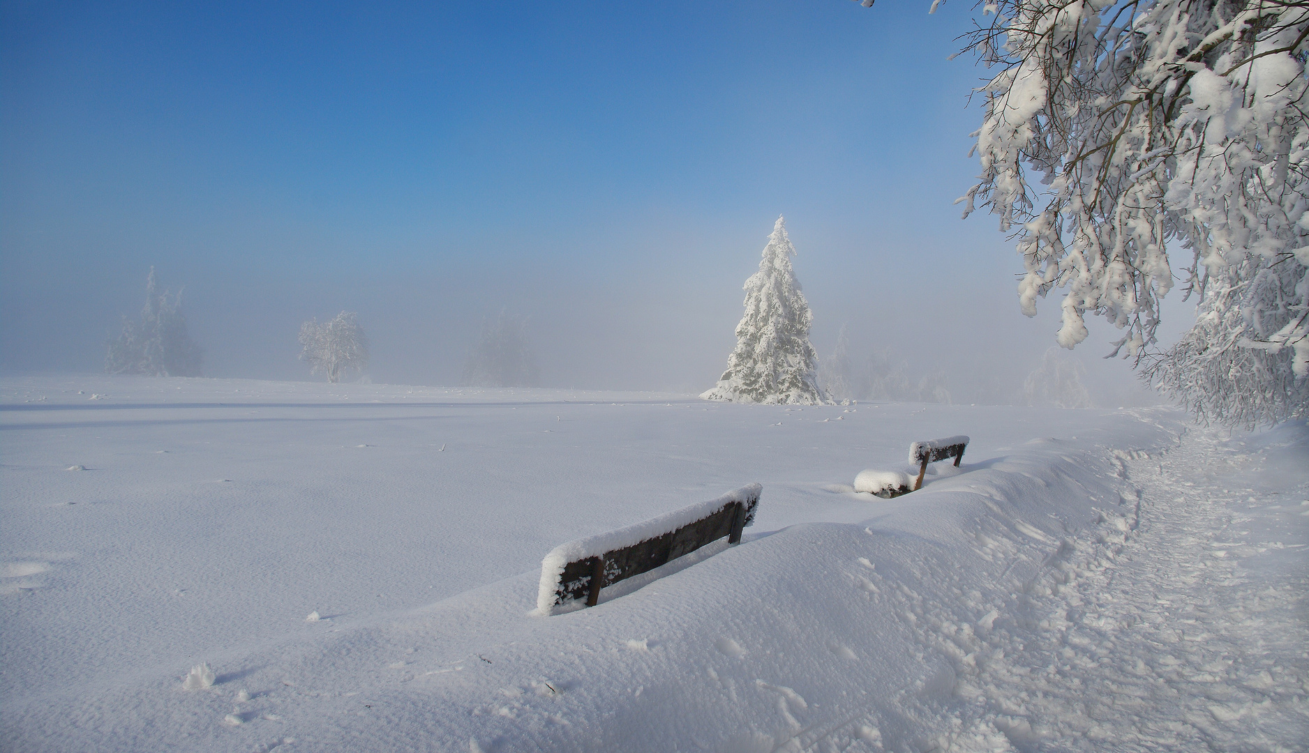 Winterimpression vom Kahlen Asten, in der Hochheide