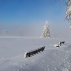 Winterimpression vom Kahlen Asten, in der Hochheide