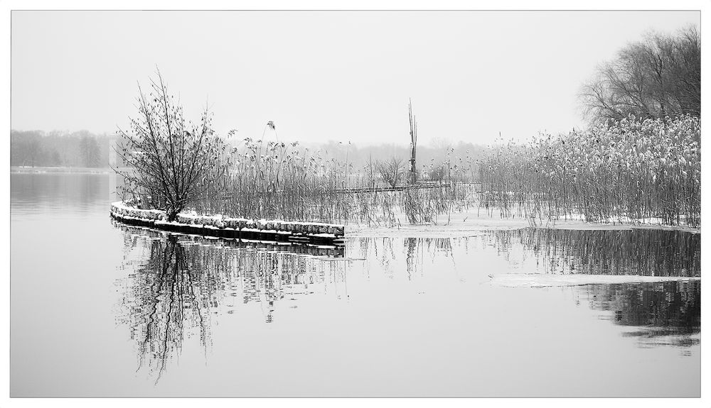 Winterimpression - Wannsee