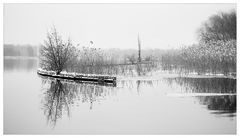 Winterimpression - Wannsee