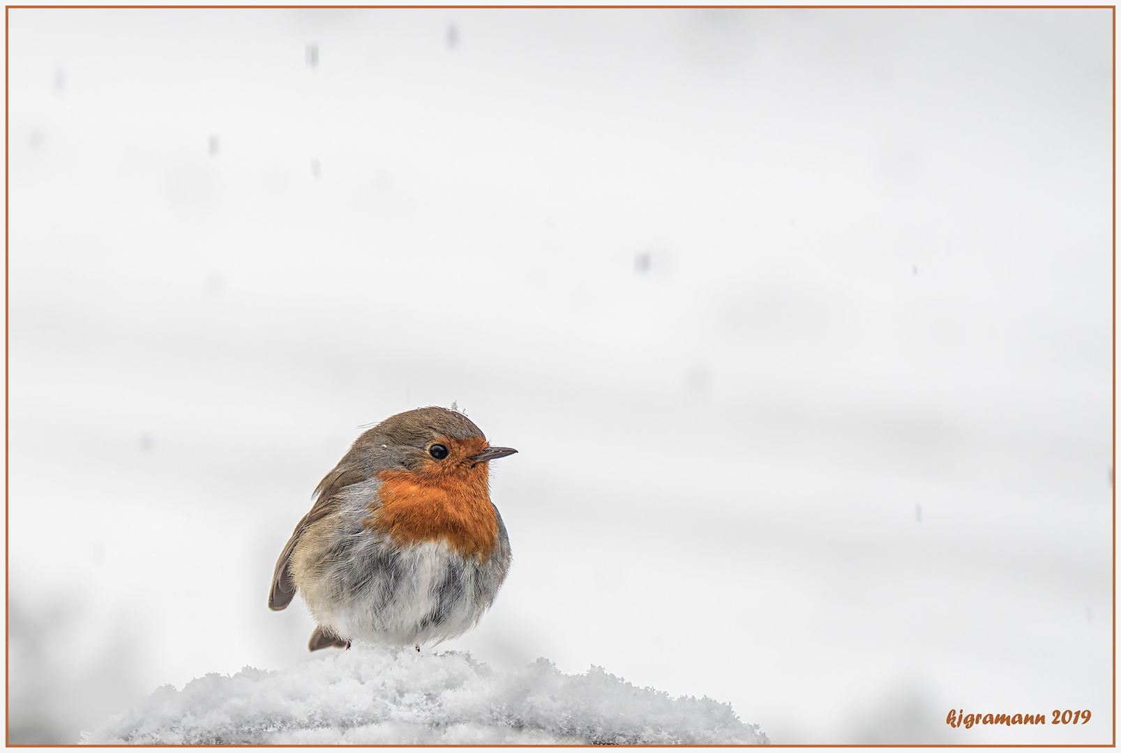 winterimpression X : schnee-bällchen.....