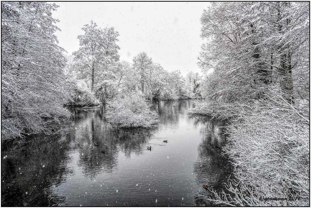 winterimpression XIV : leichter schneefall....