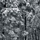 Winterimpression_02