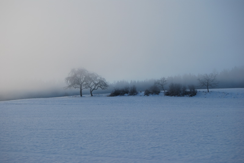 Winterimpression_2