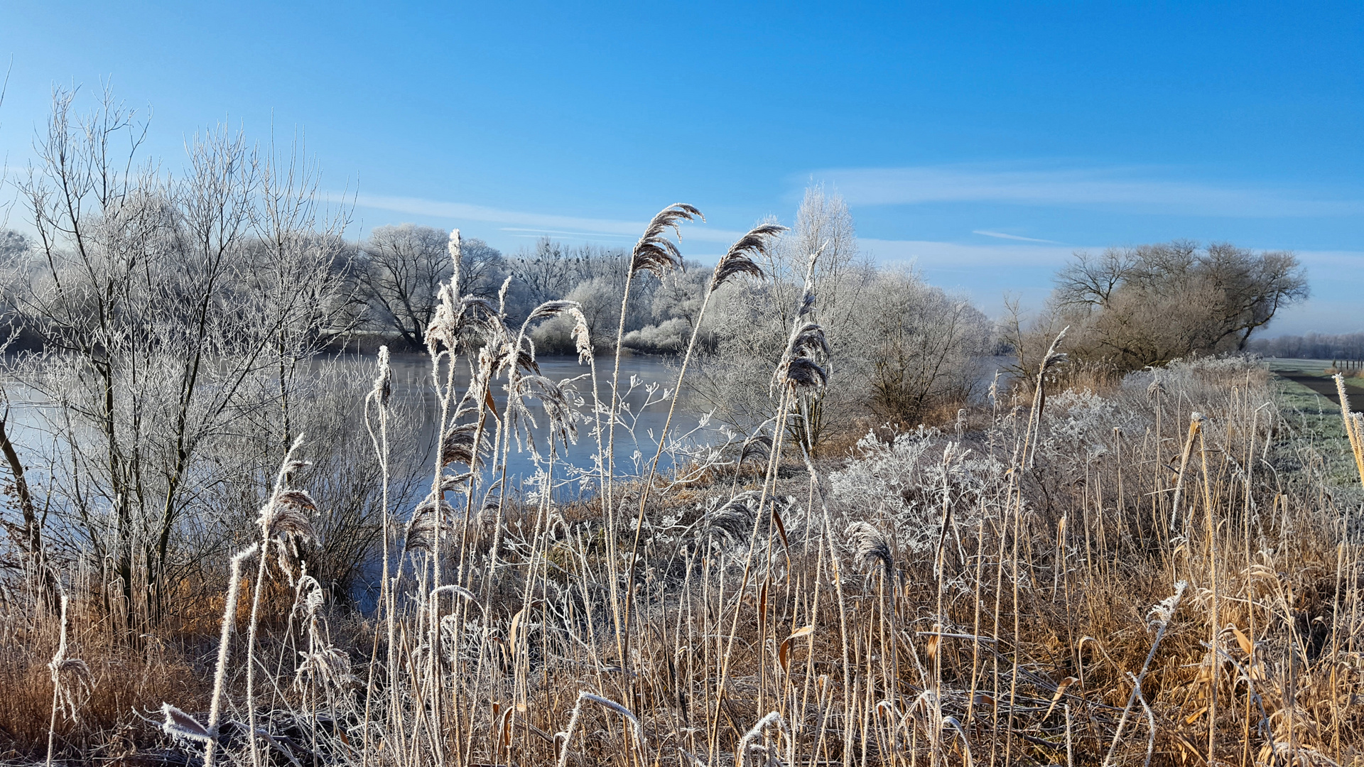 Winterimpressionen (02)