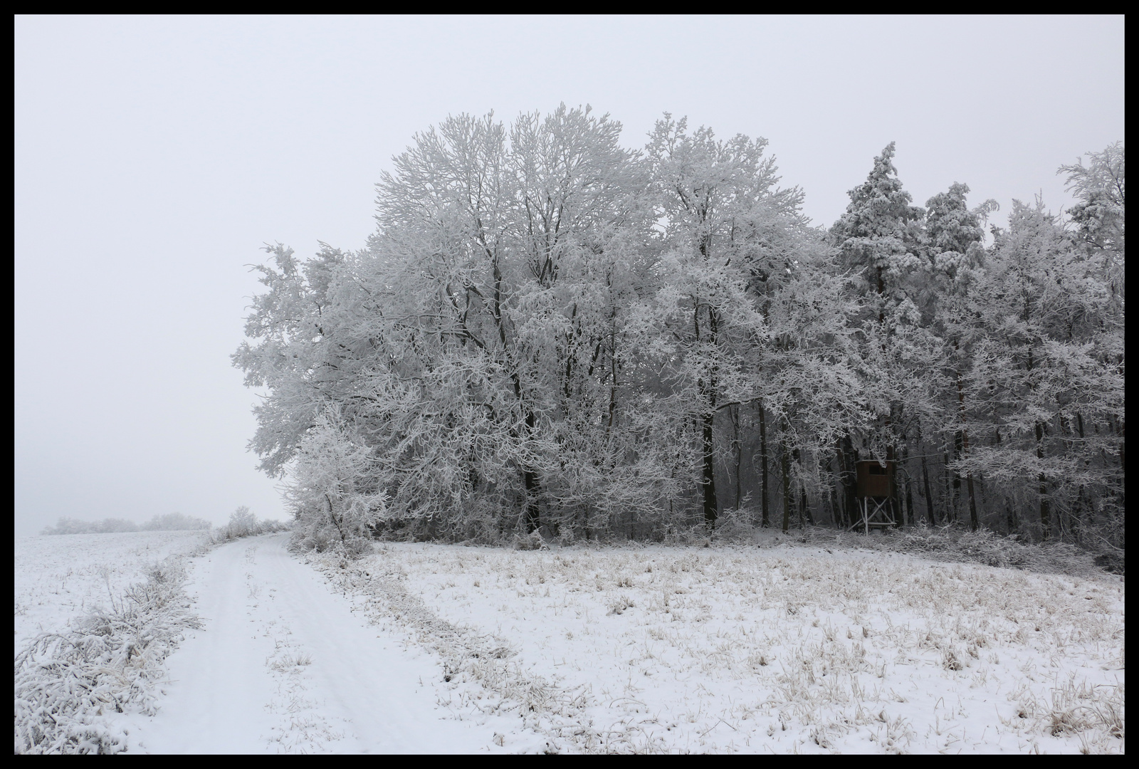 Winterimpressionen 02