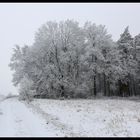 Winterimpressionen 02