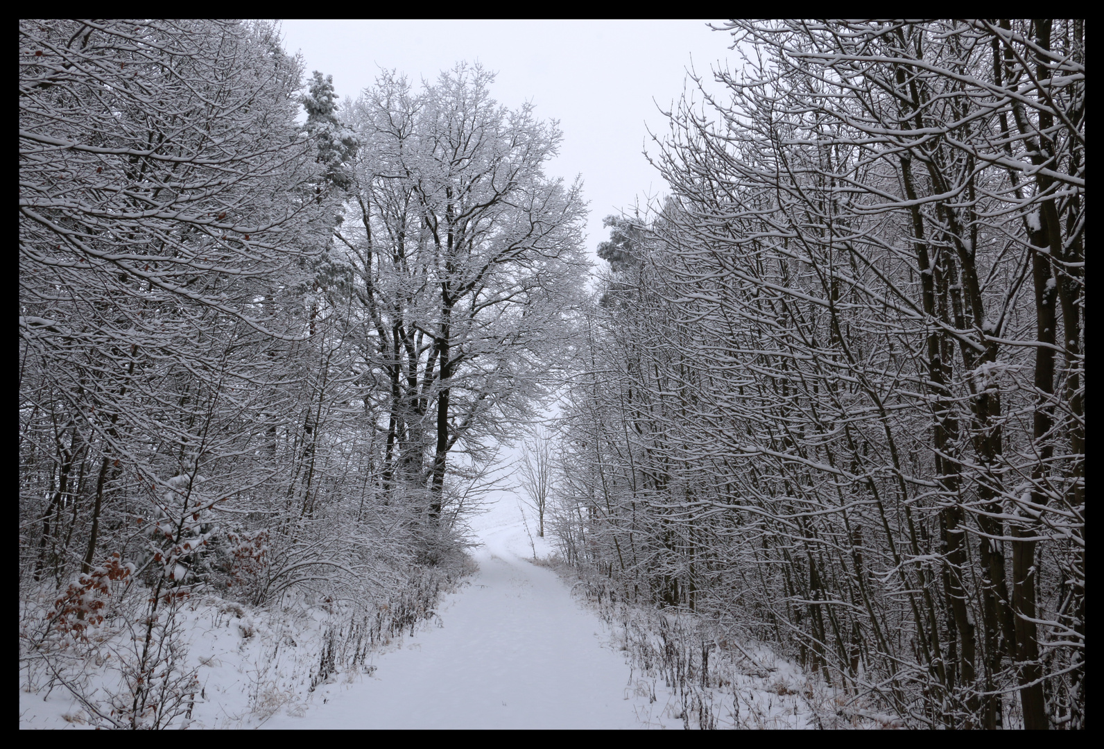 Winterimpressionen 03