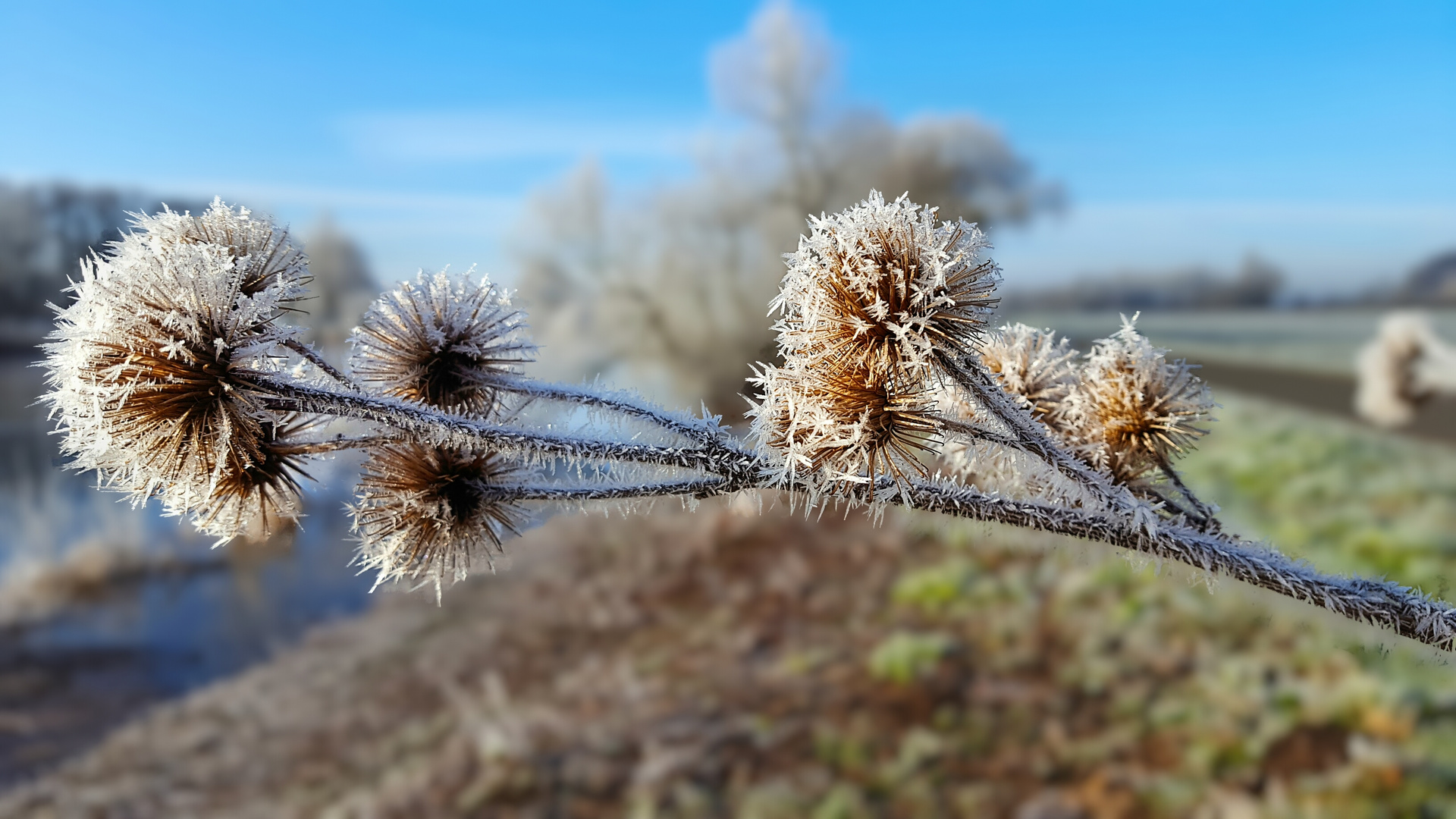 WINTERIMPRESSIONEN (03)