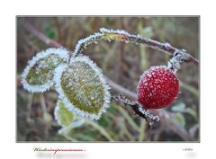 Winterimpressionen...