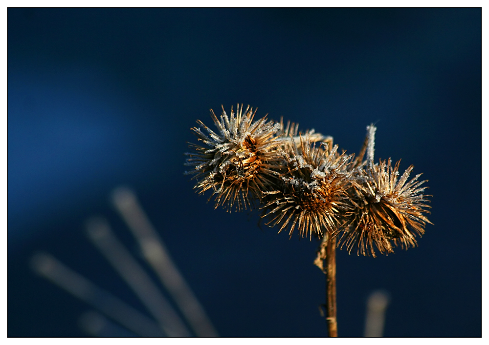 Winterimpressionen