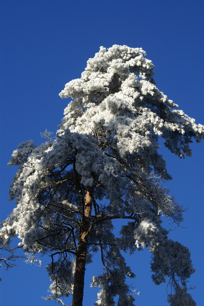 Winterimpressionen