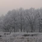 Winterimpressionen