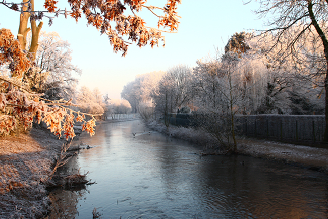 Winterimpressionen 1