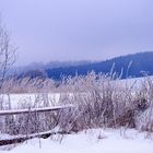 Winterimpressionen 1