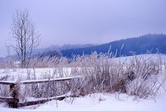 Winterimpressionen 1