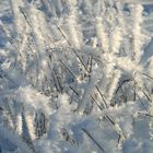 Winterimpressionen 1