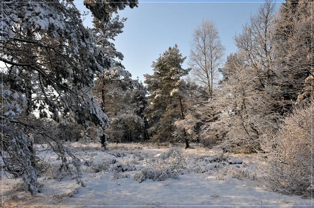 Winterimpressionen 12.12.2008