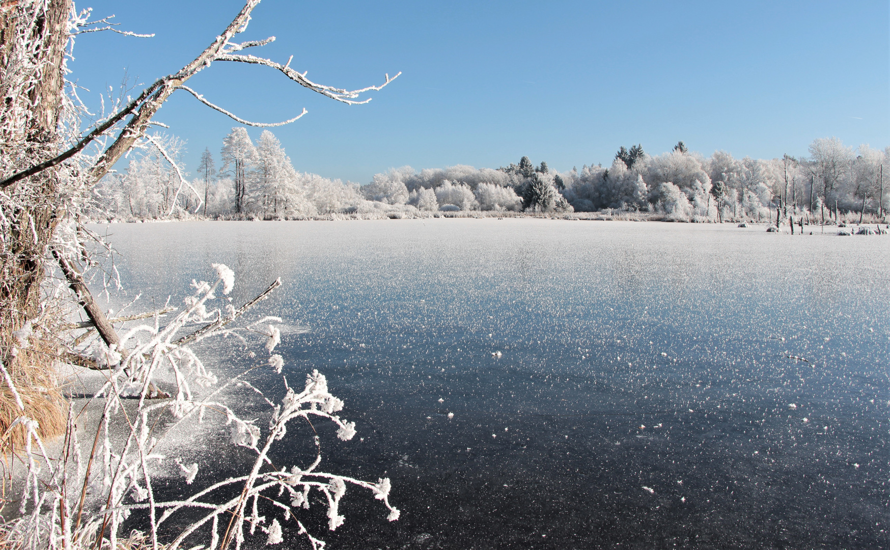 Winterimpressionen (2)