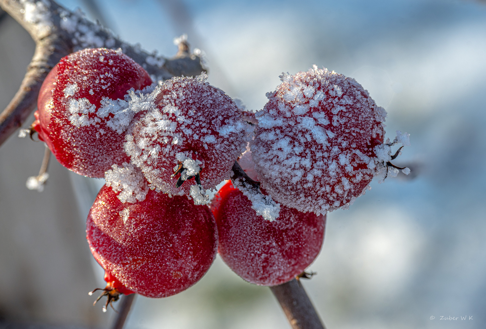 * Winterimpressionen 2