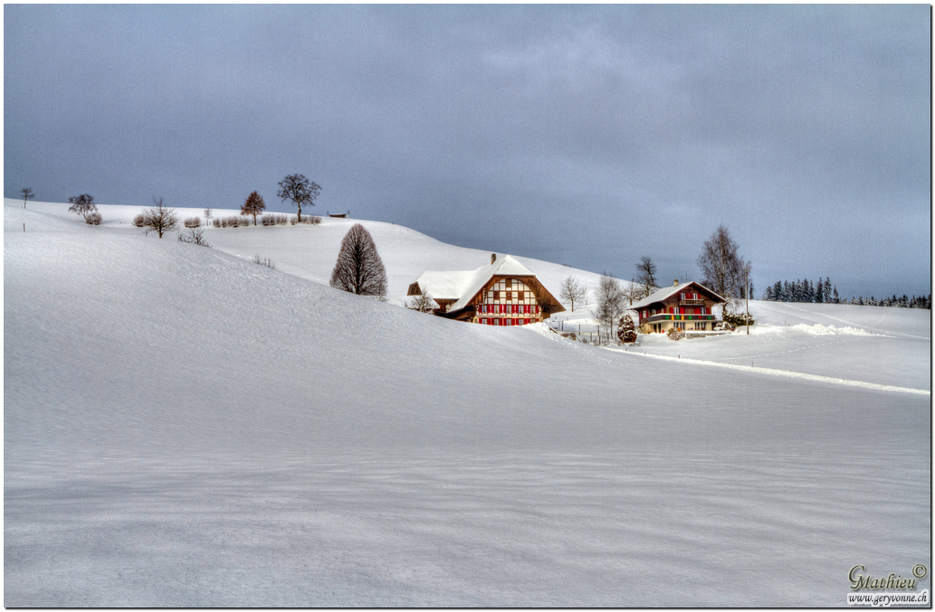 Winterimpressionen -2-